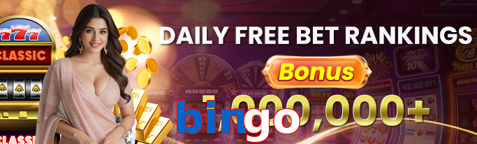 Bingo winning guide